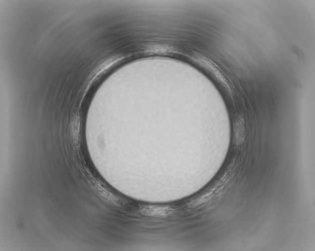 X0000114500831200911301125