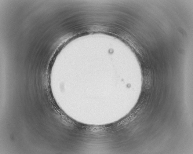 X0000114500832200911301125