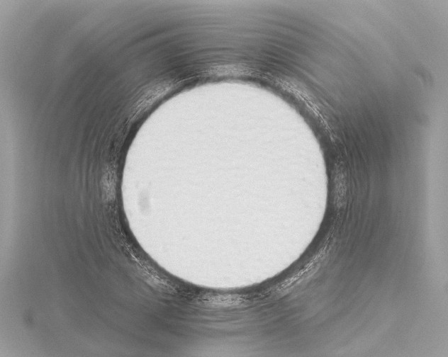 X0000114500833200911301125