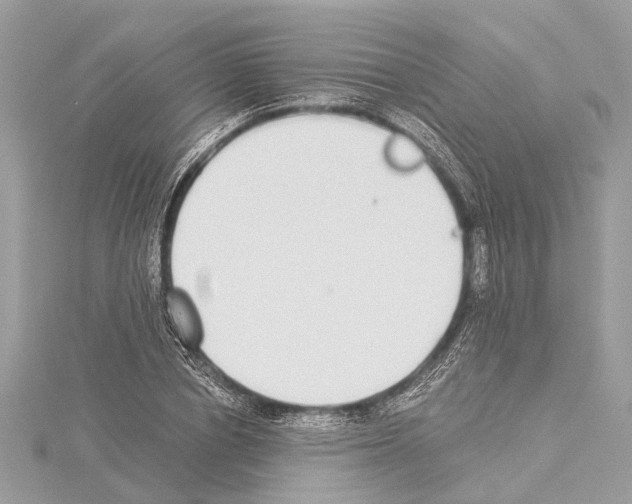 X0000114500834200911301125