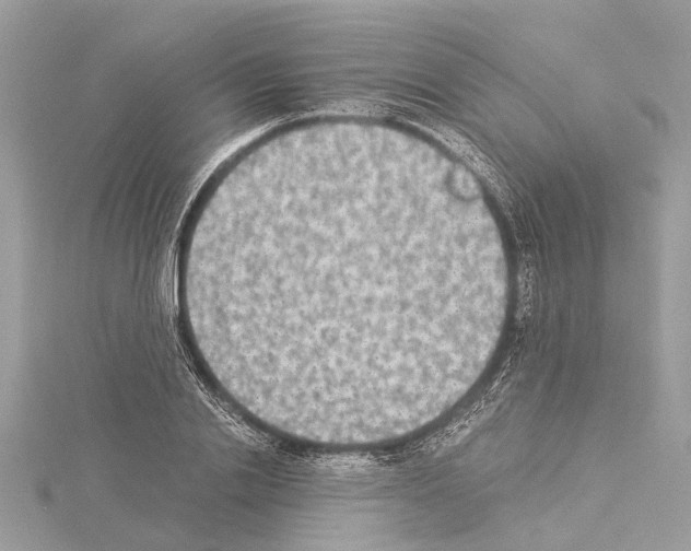 X0000114500838200911301125