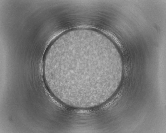 X0000114500839200911301125