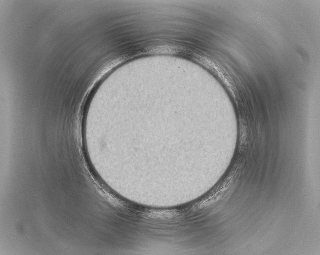 X0000114500843200911301125