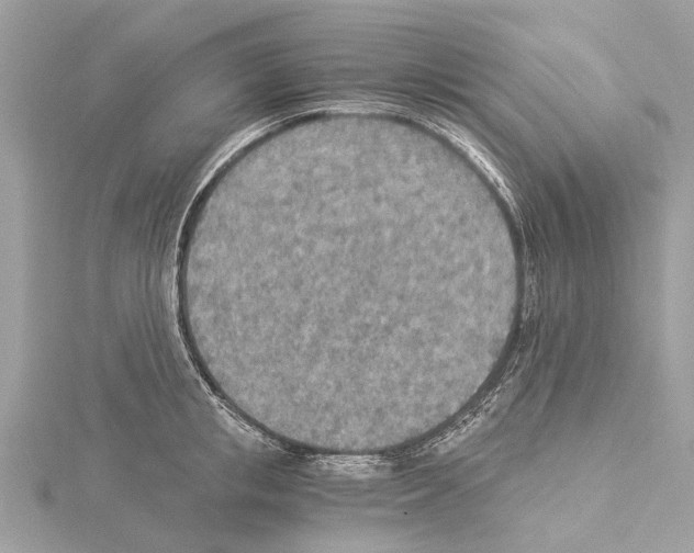 X0000114500853200911301125