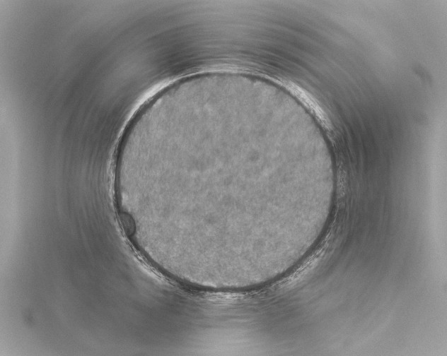 X0000114500854200911301125