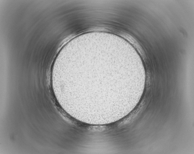 X0000114500858200911301125