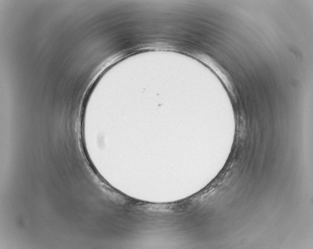 X0000114500861200911301125