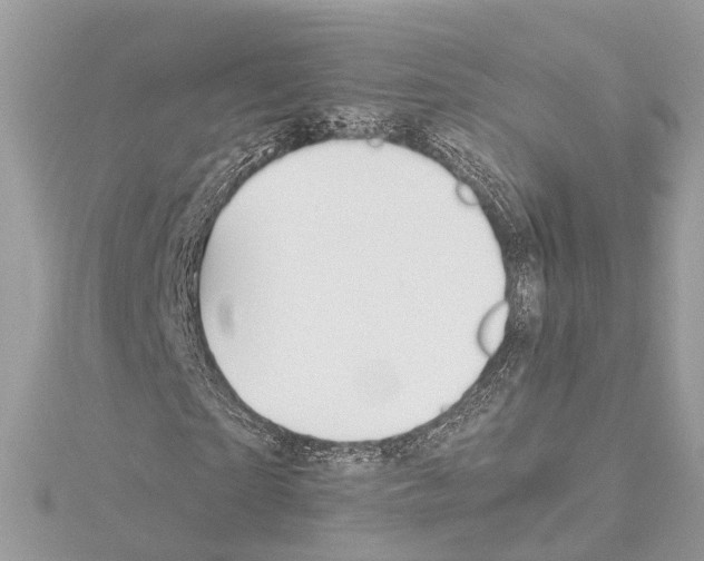 X0000114500865200911301125