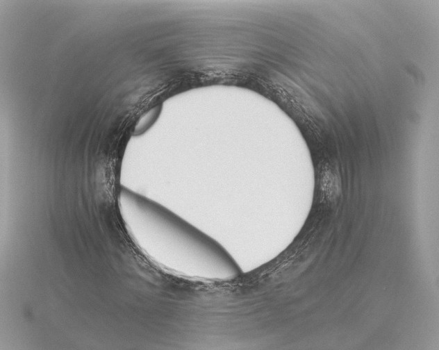 X0000114500868200911301125