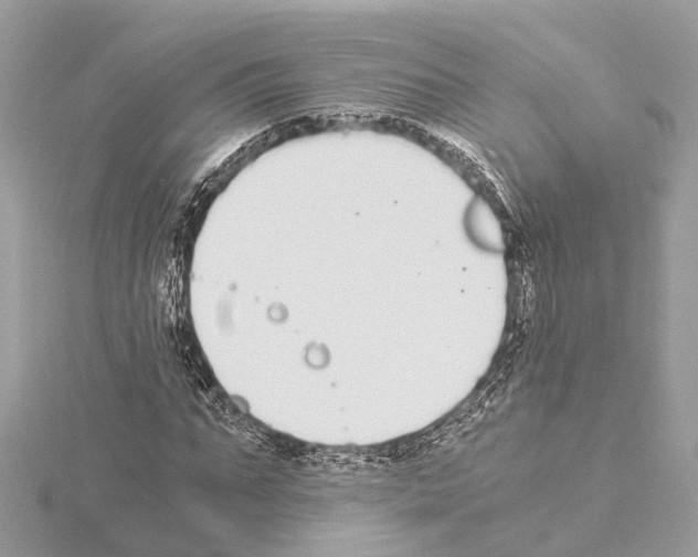 X0000114500871200911301125
