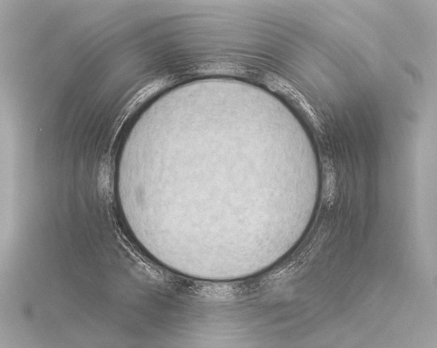 X0000114500882200911301124