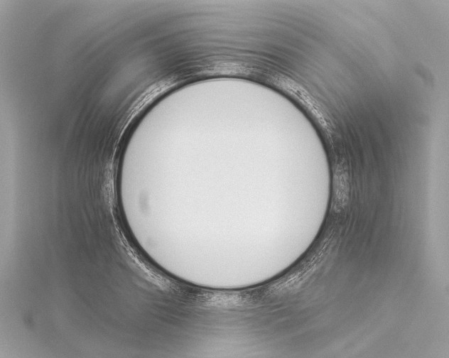 X0000114500890200911301124