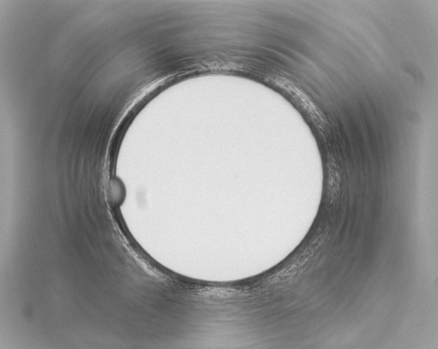 X0000114500894200911301124