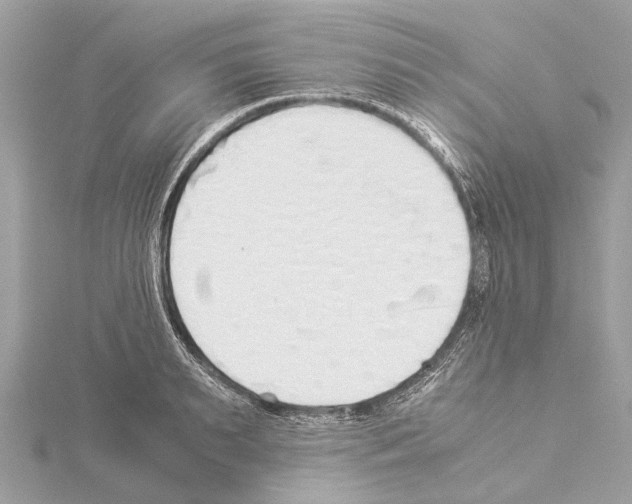 X0000114500895200911301124