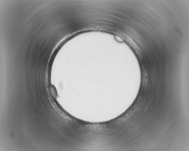 X0000114500896200911301124