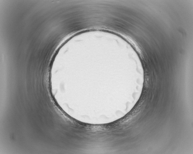 X0000114500903200911301124