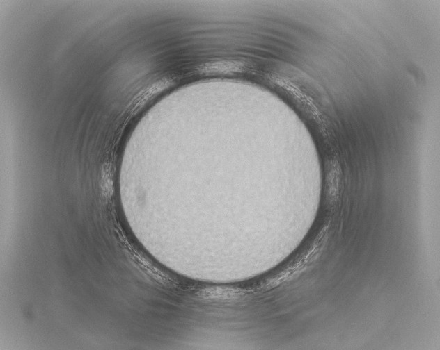 X0000114500929200911301124