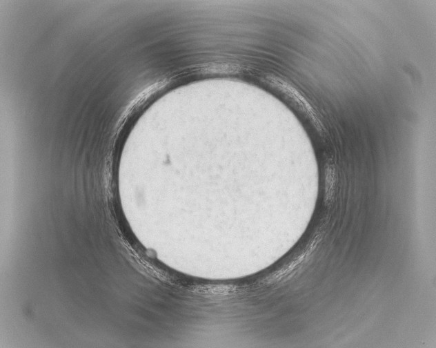X0000114500930200911301124