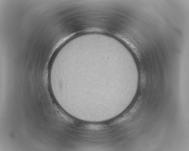 X0000114500933200911301124