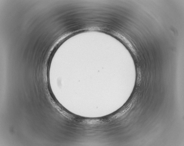 X0000114500939200911301124