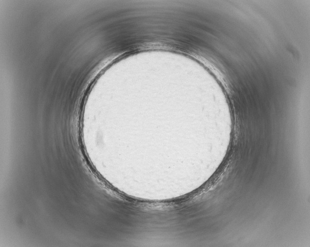 X0000114500949200911301124