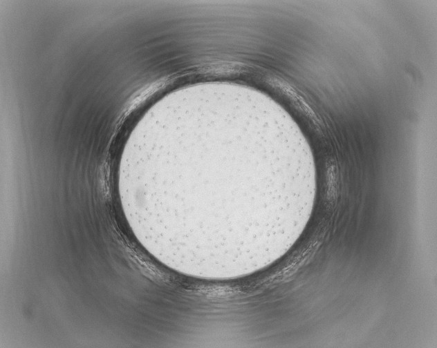 X0000114500970200911301123
