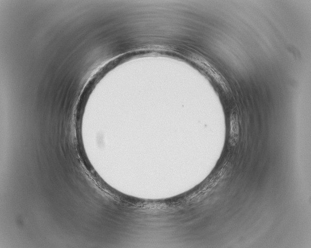 X0000114500972200911301123