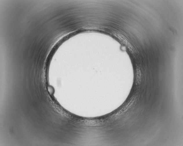X0000114500976200911301123