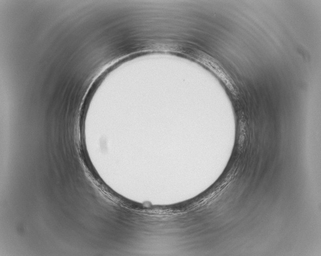 X0000114500980200911301123