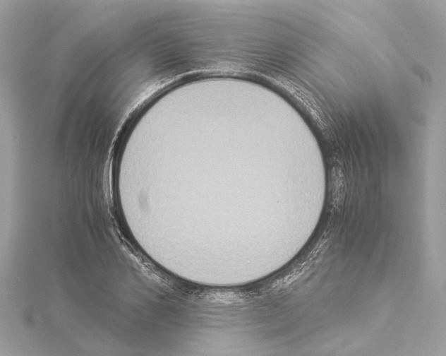 X0000114500982200911301123