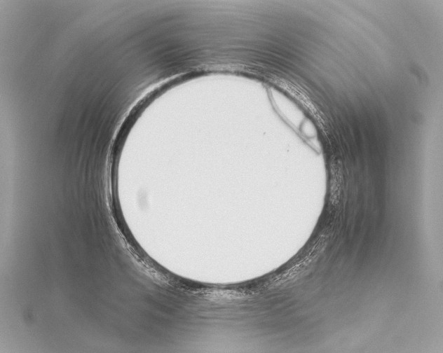 X0000114500984200911301123