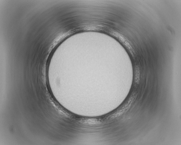 X0000114500986200911301123