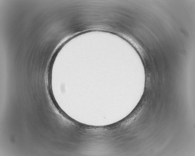 X0000114500999200911301123