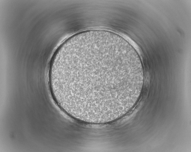 X0000114501005200911301123