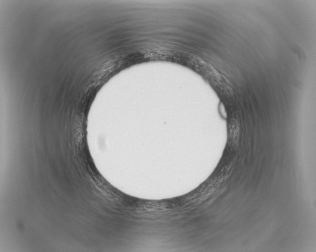 X0000114501012200911301122