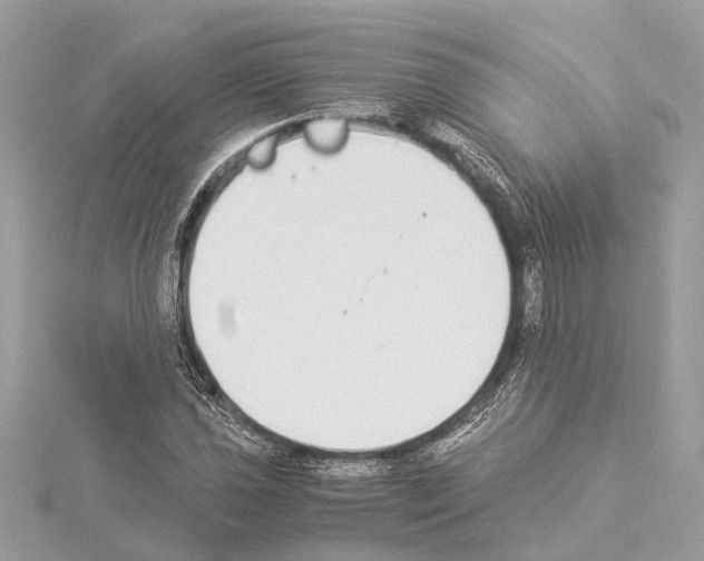 X0000114501021200911301122