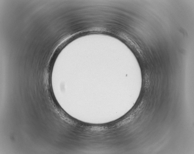 X0000114501029200911301122