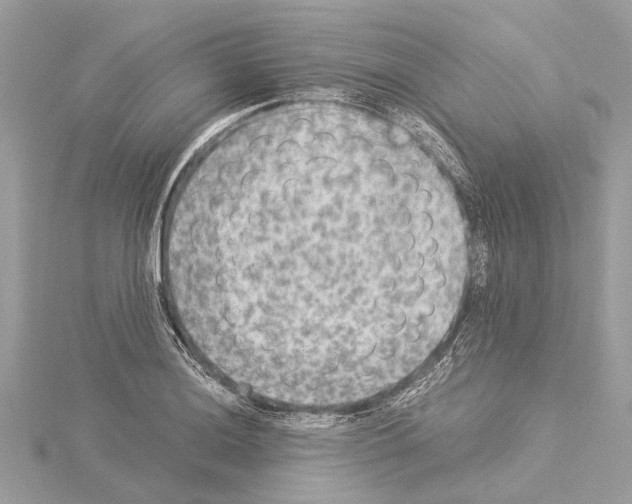 X0000114501036200911301122