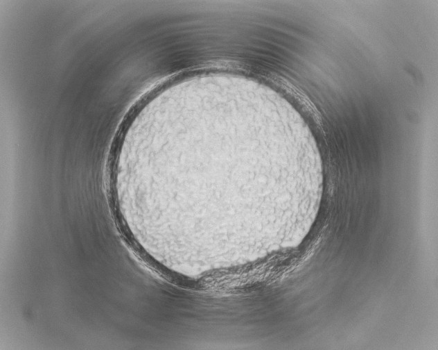 X0000114501037200911301123
