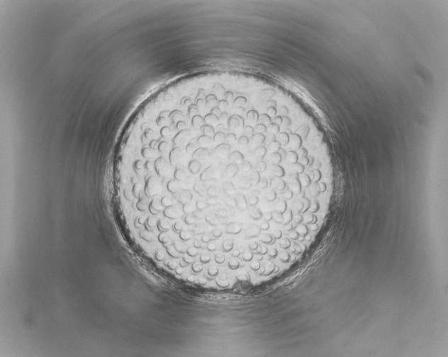 X0000114501040200911301123