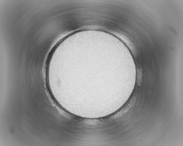 X0000114501046200911301123