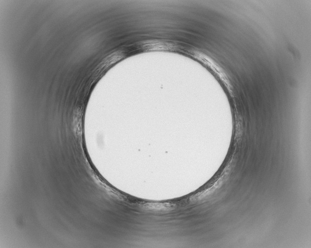 X0000114501049200911301123