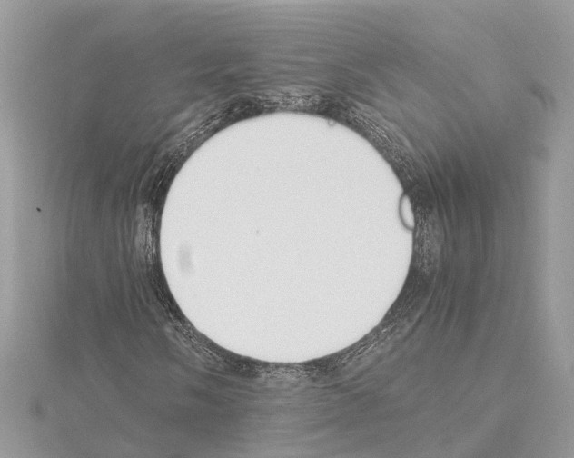 X0000114501058200911301122