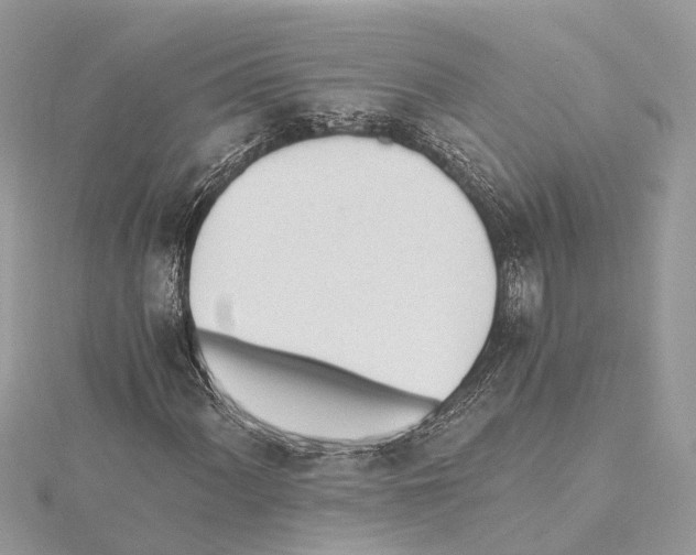 X0000114501060200911301122
