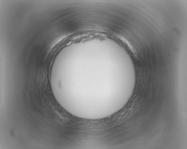 X0000114501064200911301122