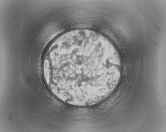 X0000114501071200911301122