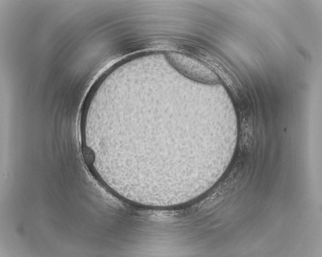 X0000114501084200911301122