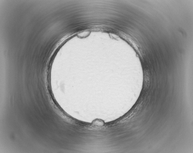 X0000114501091200911301122