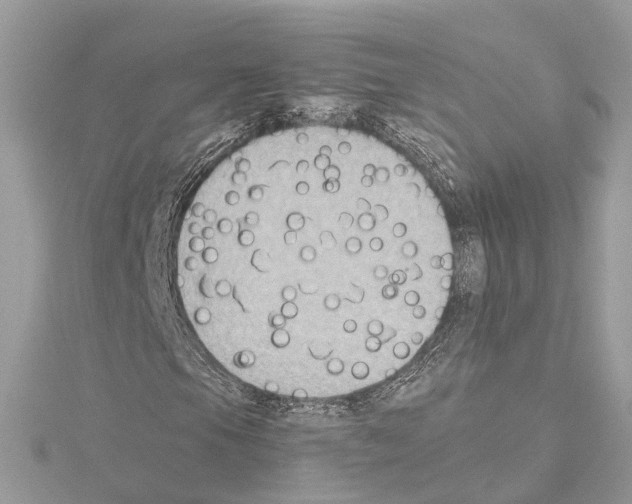 X0000114501105200911301121