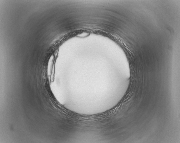 X0000114501110200911301121